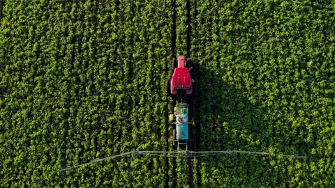 Top down aerial view process of spraying with chemicals and pesticides fields Video stock 227618529