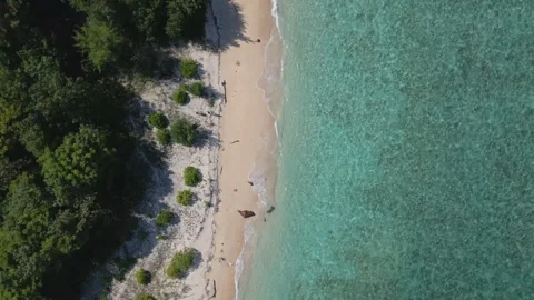 Top down aerial view of quiet beach and tropical waters of Tabuhan Island Stock Footage 340157888