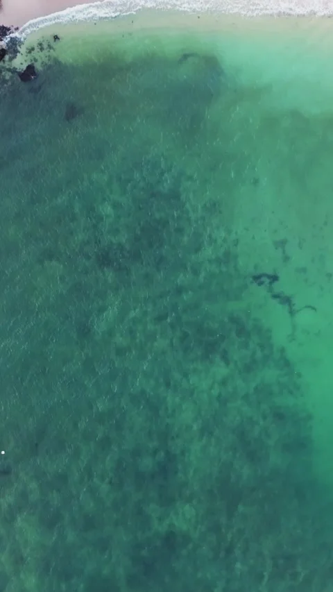 Top-down aerial view reveals clear turquoise water, pale sand, and fishing .. Stock Footage 341548368