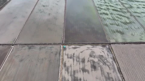 Top Down Aerial View of Rice Field Planting Process with Farming Machine Stock Footage 328411623