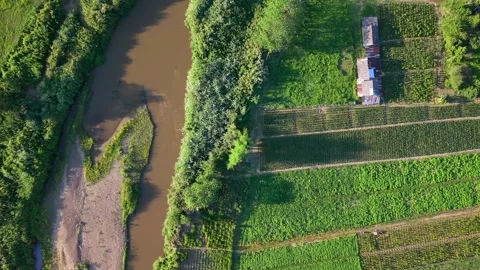Top down aerial view of river bend and green vegetable fields Stock-Footage 335129284