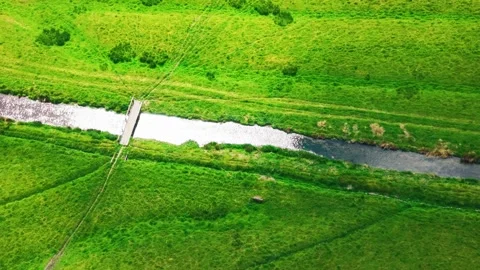 Top Down Aerial View of River Avon and Footbridge in Salisbury Water Meadows Видео 336650702