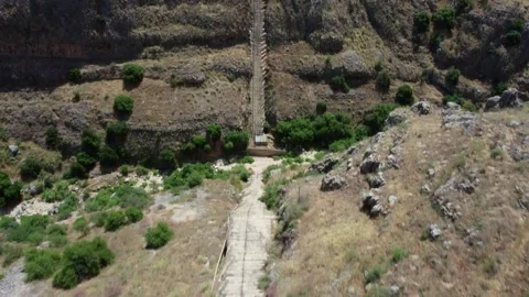 Top down aerial view of a road and river in a green canyon oasis. Stock Footage 155176005