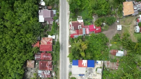 Top-Down Aerial View of a Road in the Philippines Stock Footage 303280297