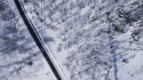 Top Down Aerial View of a Road in a Snowy Forest The Concept of a Journey 库存影片 327814531