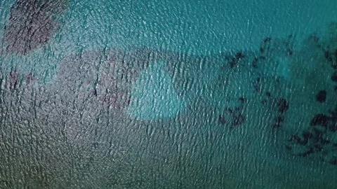 Top-down aerial view of rocky coastline and clear blue water Stock Footage 308016314
