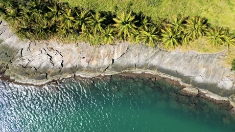 Top-Down Aerial View of Rocky Coastline with Coconut Palm Trees Vídeos de archivo 334617613