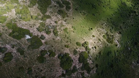 Top down aerial view of rocky mountain slope with green bushes in Kazakhstan 库存影片 337141559