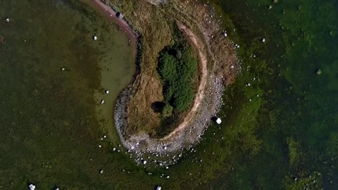 Top down aerial view of rocky coastline and shallow sea water with green algae Stock Footage 344758927