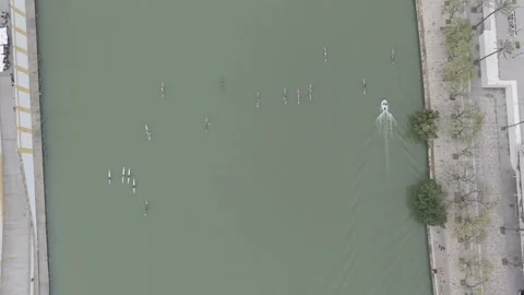Top down aerial view of rowing boats training on a calm river Vídeos de archivo 342256854