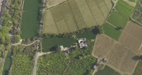 Top down aerial view of a rural farm land, agricultural farm located in haryana Vídeo Stock 329663891