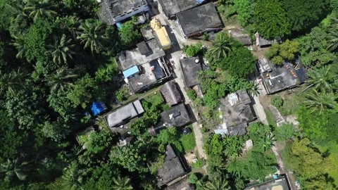 Top-down aerial view of a rural Indian village with houses and green trees. Stockbeeldmateriaal 331094045