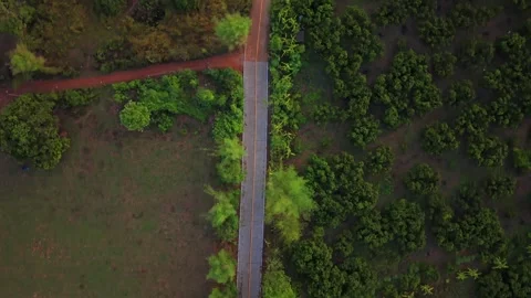 Top down aerial view of a rural road through tropical orchards in Thailand Stock-Footage 334642281