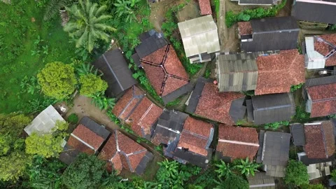 Top-Down Aerial View of Rural Village and Forest Road Stock Footage 343858705