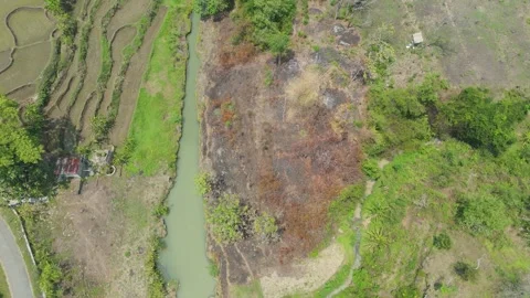 Top Down Aerial View of Rural Road and River Stock Footage 346428131