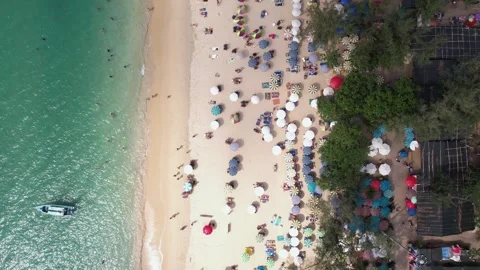 Top Down Aerial View of Sandy Beach and Turquoise Sea, Parasols and People Stock Footage 306344662