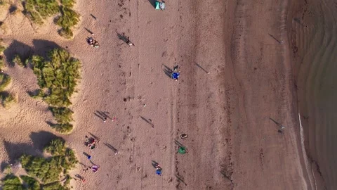 Top Down Aerial View, Sandy Beach with Summer Visitors and Shoreline Vídeo Stock 343932984
