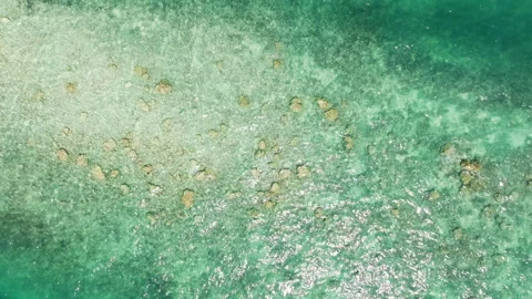 Top down aerial view of shallow turquoise reef water 스톡 동영상 344305586