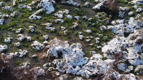 A top-down aerial view shows snowy ground patches and dried vegetation at Stock Footage 327492204