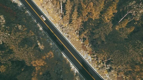 Top down aerial view of silver car driving on asphalt road through forest Stock Footage 338230022