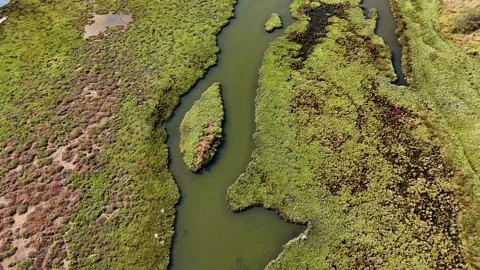 Top Down Aerial View of a Small Island in a Winding Marsh River Stock Footage 317084871