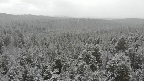 Top down aerial view of snow covered forest Stock Footage 126838666