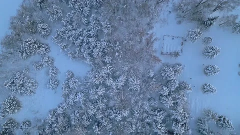 Top Down Aerial View Of Snow Covered Trees In Dayton MN Video stock 232567300