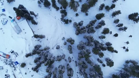 Top down aerial view of snow covered pine forest and town in Himalayan Mountains Stock Footage 269486243