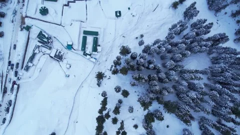 Top down aerial view of snow covered pine forest and town in Himalayan Mountains Stock Footage 269487378