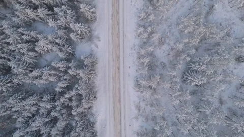 Top down aerial view of snow covered forest road in winter Stock Footage 325672033