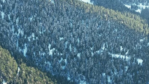 Top down aerial view of snowy pine forest, winter trees texture Vídeos de archivo 326217668