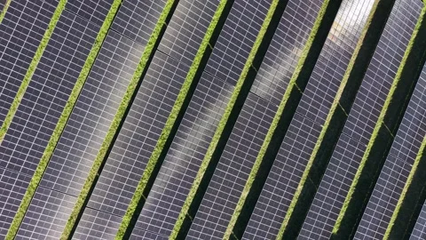 Top Down Aerial View of Solar Panels in Denmark Stock Footage 334669169