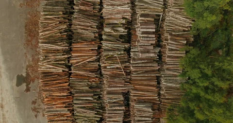 Top Down Aerial View of Stacked Logs Showing Forestry Management and Timber Stock Footage 346411610