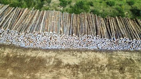 Top Down Aerial View of Stacked Timber Stock Photos