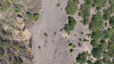 Top Down Aerial View of Stob Pyramids and Green Forests, Bulgaria Stock Footage 343365511