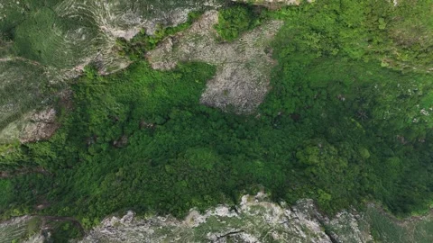 Top Down Aerial View A Stunning Gorge of Mountains Between the Overgrown Cliffs Stock Footage 293539695