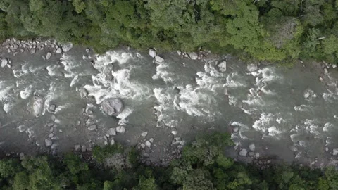 Top down, aerial view of sub tropical river in the Andes of Ecuador Stock Footage 146343588