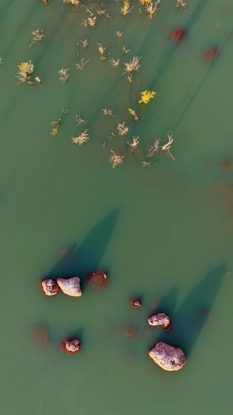Top-Down Aerial View of Submerged Trees and Rocks in Gaborone Dam Stock Footage 343876332