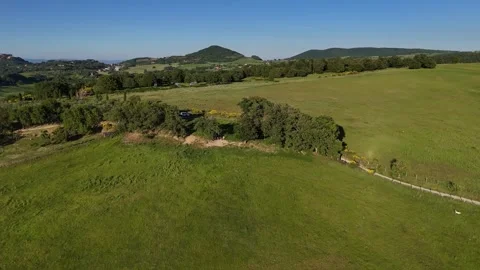 Top Down Aerial View of Sunlit Pasture Field and Tree Line Stock Footage 346273491