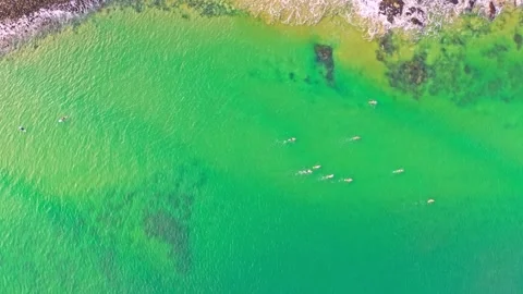 Top down aerial view of surfers in turquoise ocean at Noosa Australia Stock Footage 335447835