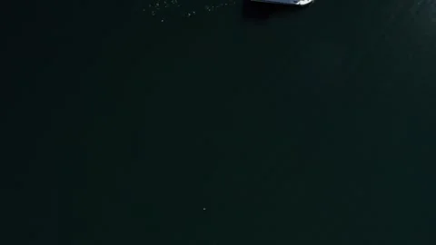 Top Down Aerial View of Swan Pedal Boat on Echo Park Lake Stock Footage 346662382