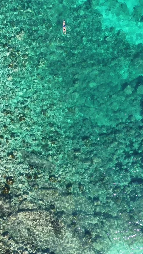 Top down aerial view of swimmer over reef in clear water, Javea, Spain Stock Footage 339990242