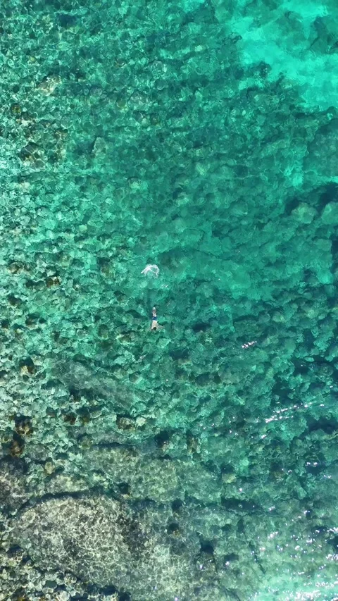 Top down aerial view of swimmer drifting over reef, Javea, Spain Stock Footage 340238973