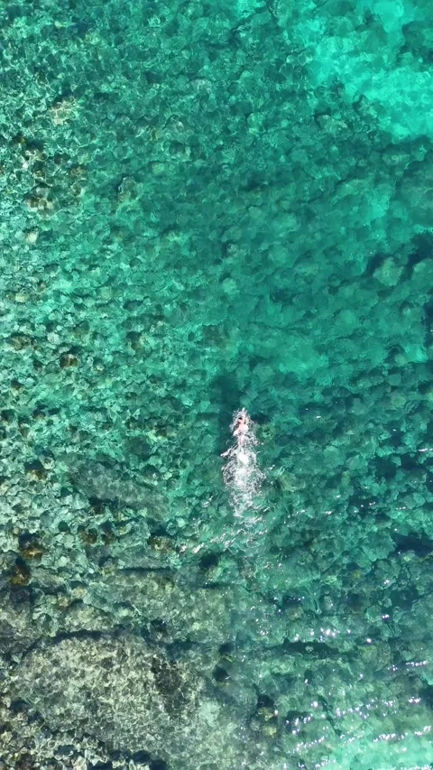 Top down aerial view of swimmer splashing over reef, Javea, Spain Stock Footage 340238993