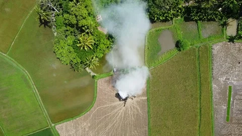 Top Down Aerial View of Thick White Smoke from Straw Burning in Rice Fields Stock Footage 345945427