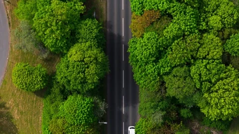 Top-Down Aerial View Tracking a Vehicle on a Two-Lane long road Vídeos de archivo 334327135