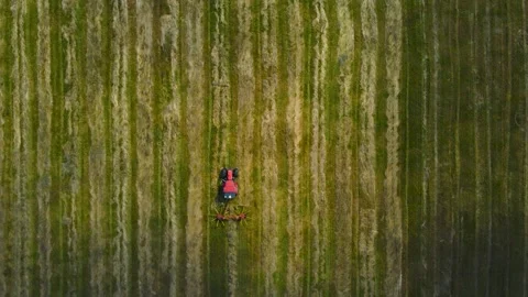 Top down aerial view of a tractor collecting silage hay on a cloudy and sunny Stock Footage 315282603