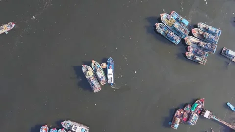 Top Down Aerial View of Traditional Fishing Boats in Calm Harbor Stock Footage 340199124