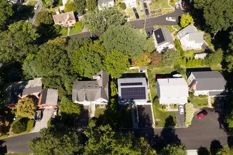 Top-down aerial view of tree-lined suburban homes in White Plains, Westchester C 写真素材