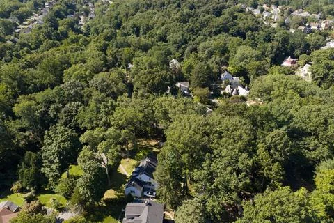 Top-down aerial view of tree-lined suburban homes in White Plains, Westchester C 库存照片